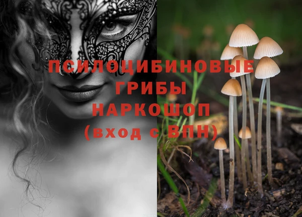 шишки Козельск