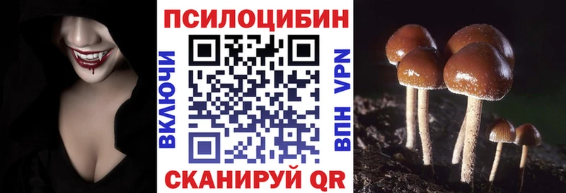 Галлюциногенные грибы мухоморы  Холм 
